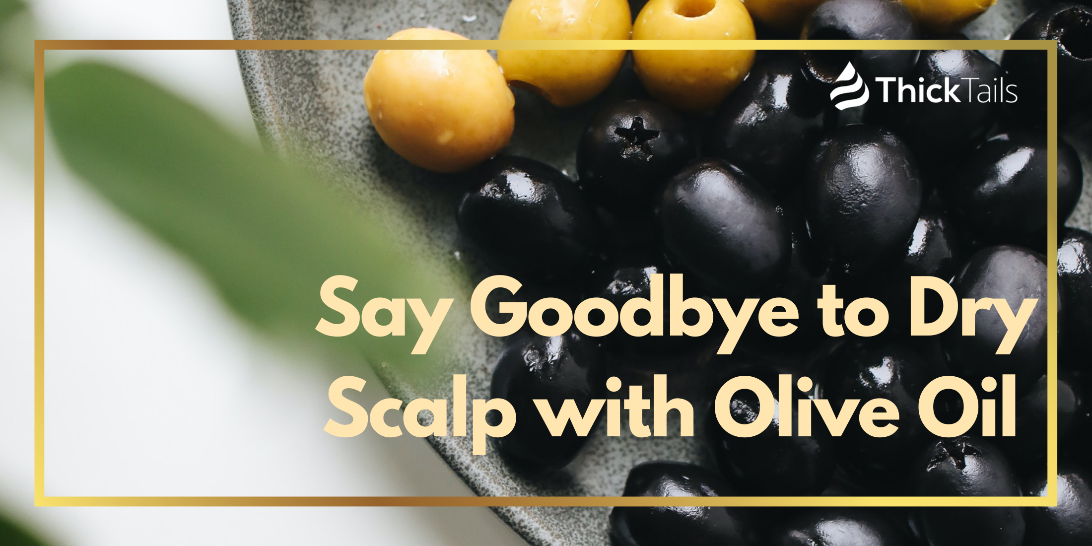 Say Goodbye to Dry Scalp with Olive Oil