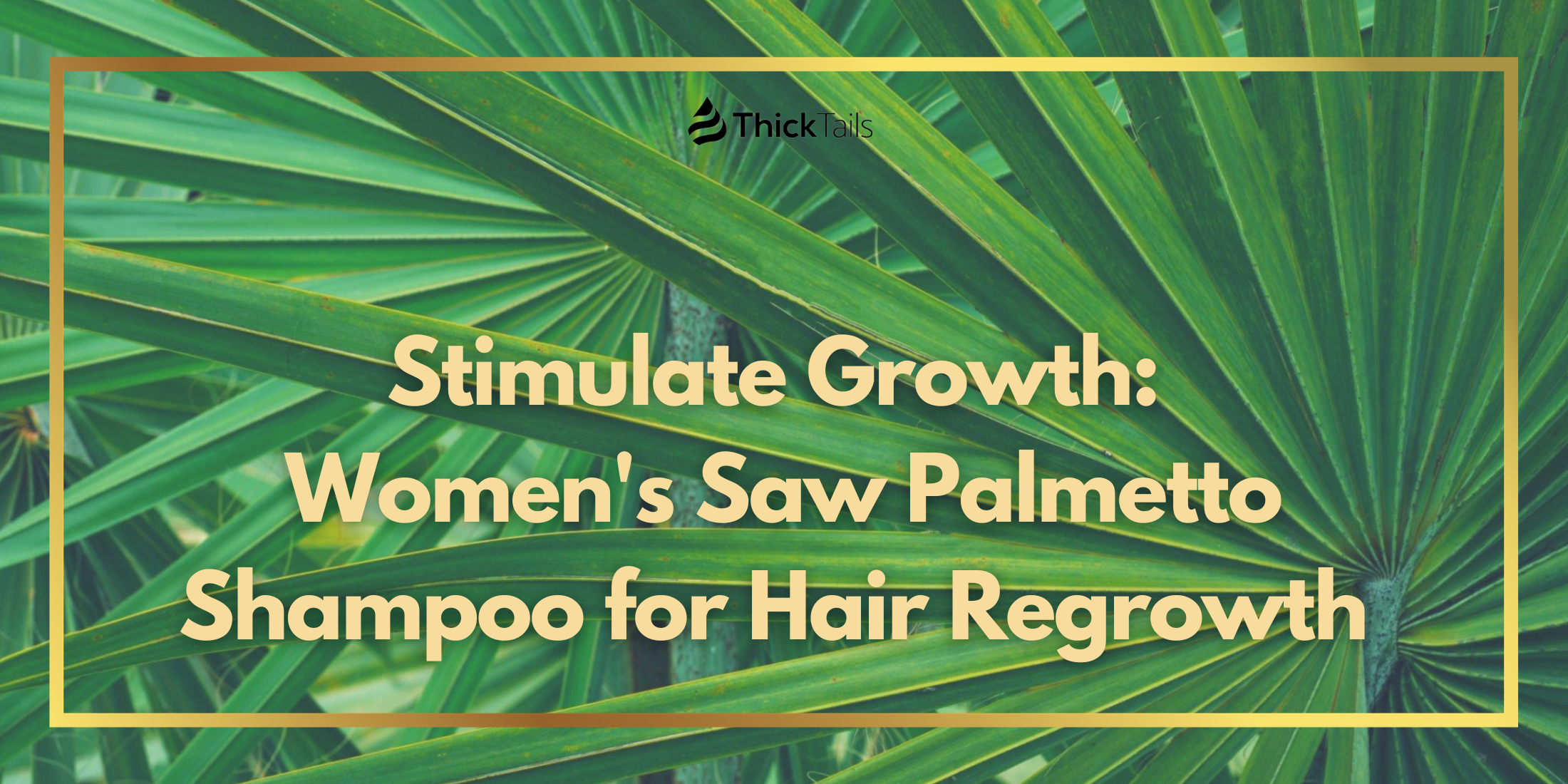 Saw Palmetto Shampoo for Hair Regrowth in Women