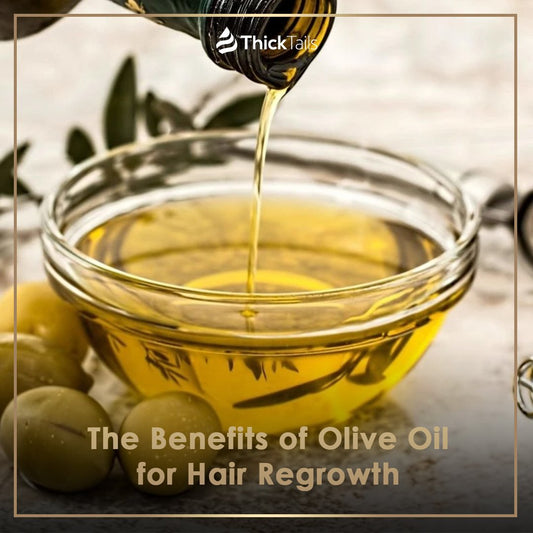The Benefits of Olive Oil for Hair Regrowth | ThickTails