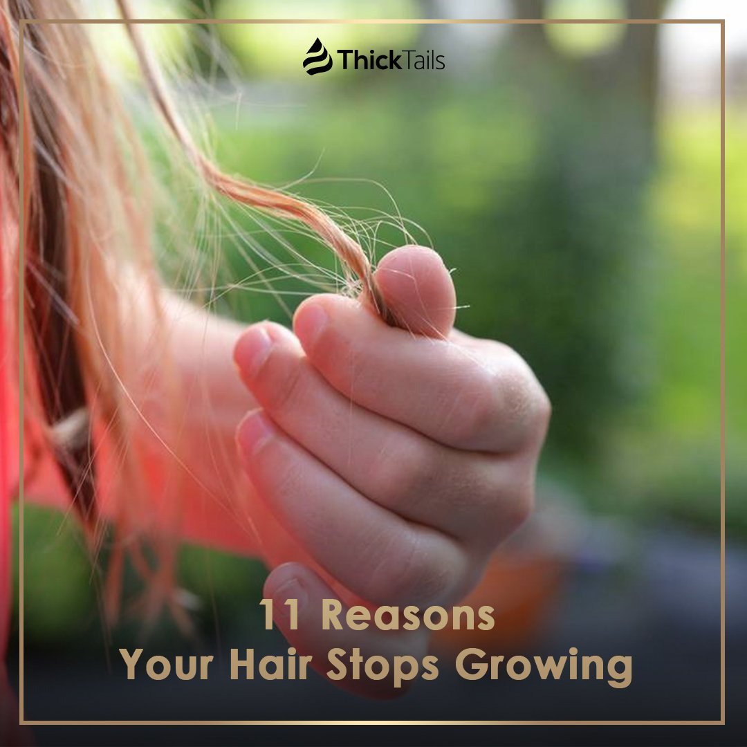 11 Reasons Your Hair Stops Growing | ThickTails