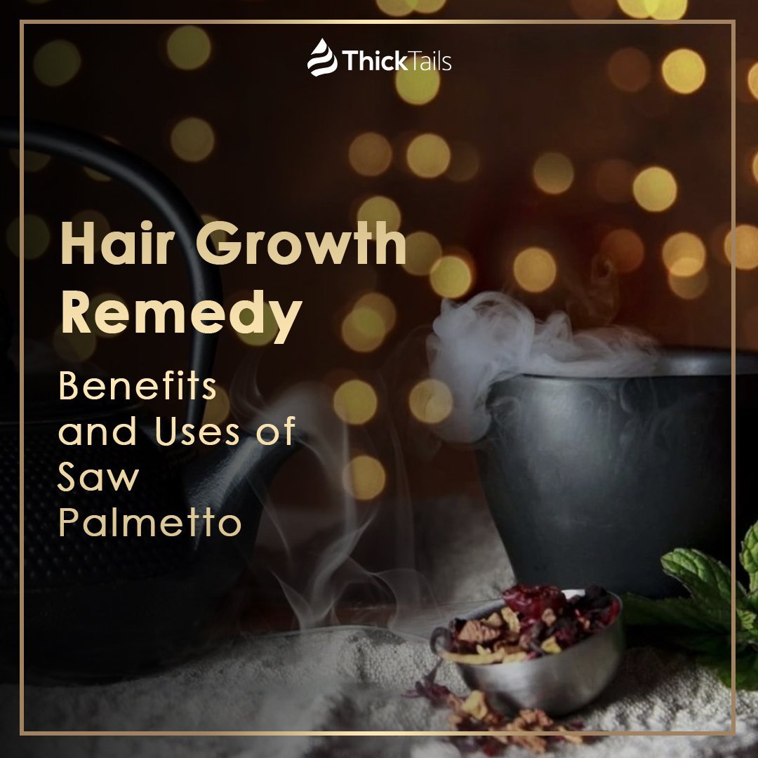 Hair Growth Remedy: Benefits and Uses of Saw Palmetto | ThickTails