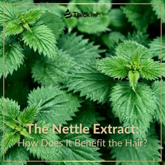 The benefits of nettle extract for hair growth