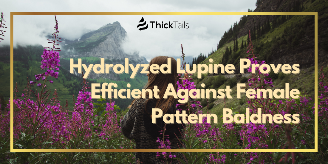 Hydrolyzed Lupine Proves Efficient Against Female Pattern Baldness