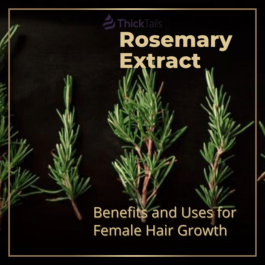 Rosemary Extract – Benefits and Uses for Female Hair Growth | ThickTails