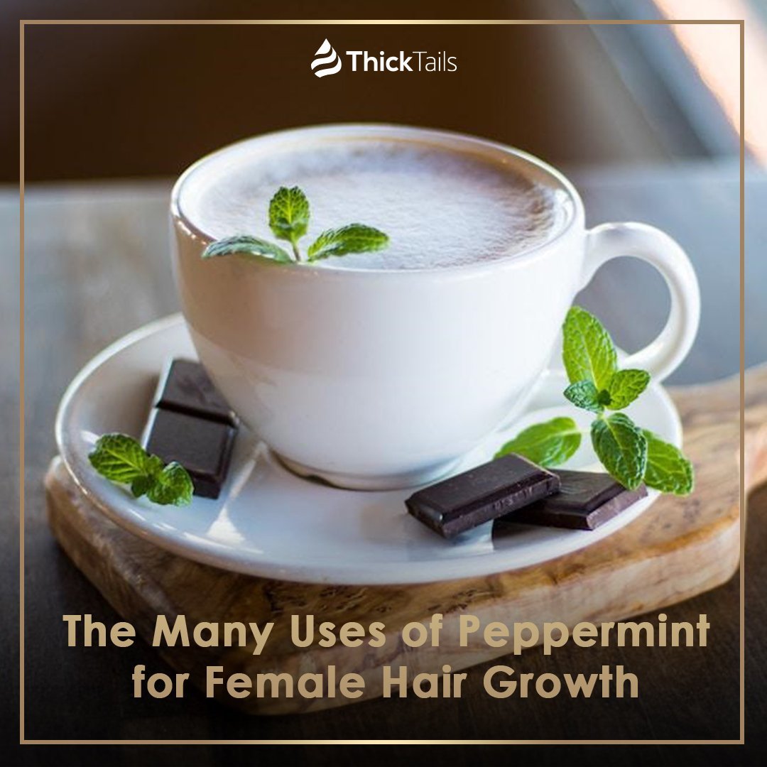 The Many Uses of Peppermint for Female Hair Growth | ThickTails