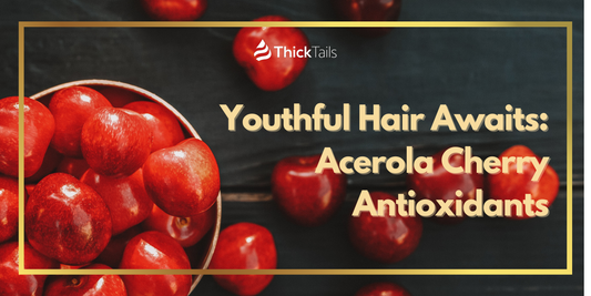  Acerola Cherry Antioxidants