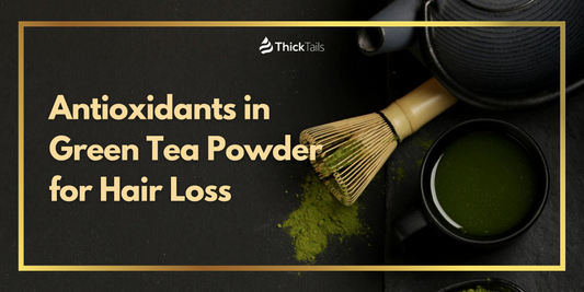 Green tea powder antioxidants for hair loss	
