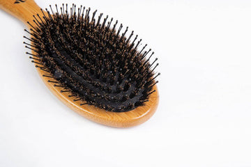 ThickTails Boar Bristle Hair Brush - Oval With Nylon Pins. Premium Gift Set - ThickTails